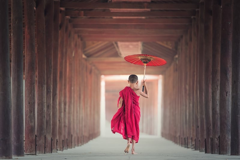 Tai Chi Image